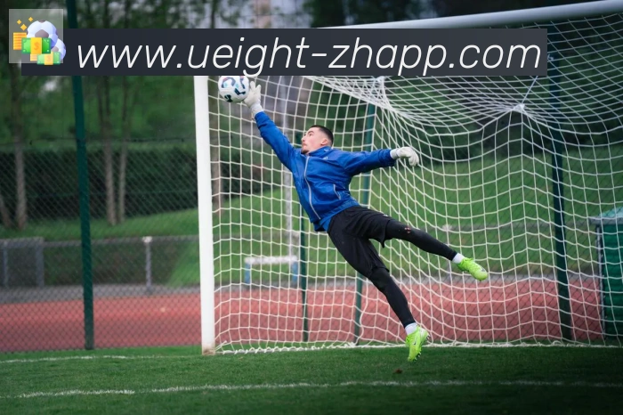 多媒体互动体验