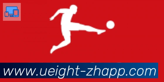 U8国际合作伙伴