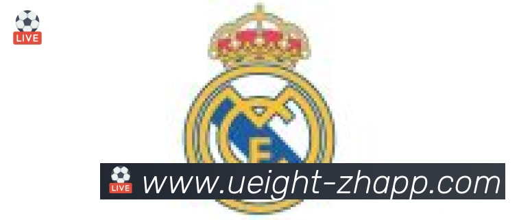 U8国际合作伙伴