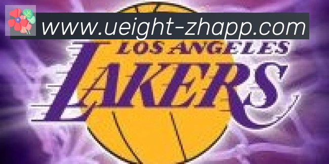 U8国际合作伙伴