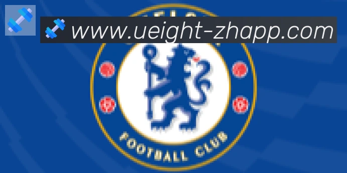 U8国际合作伙伴