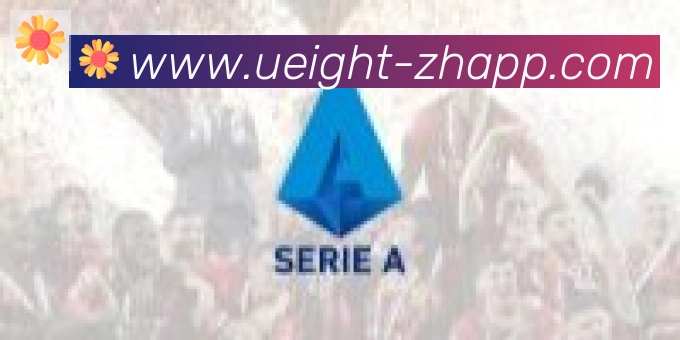 U8国际合作伙伴