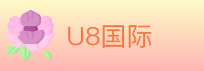U8国际 logo